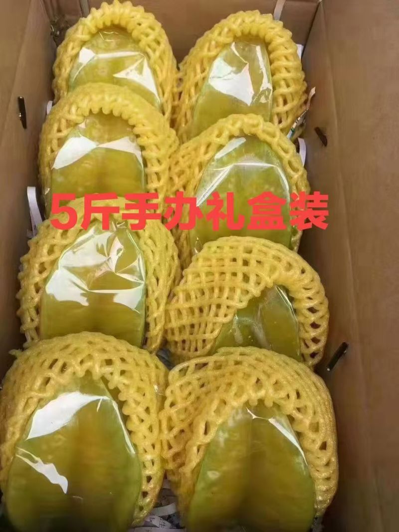 下河杨桃基地家庭农场直销
