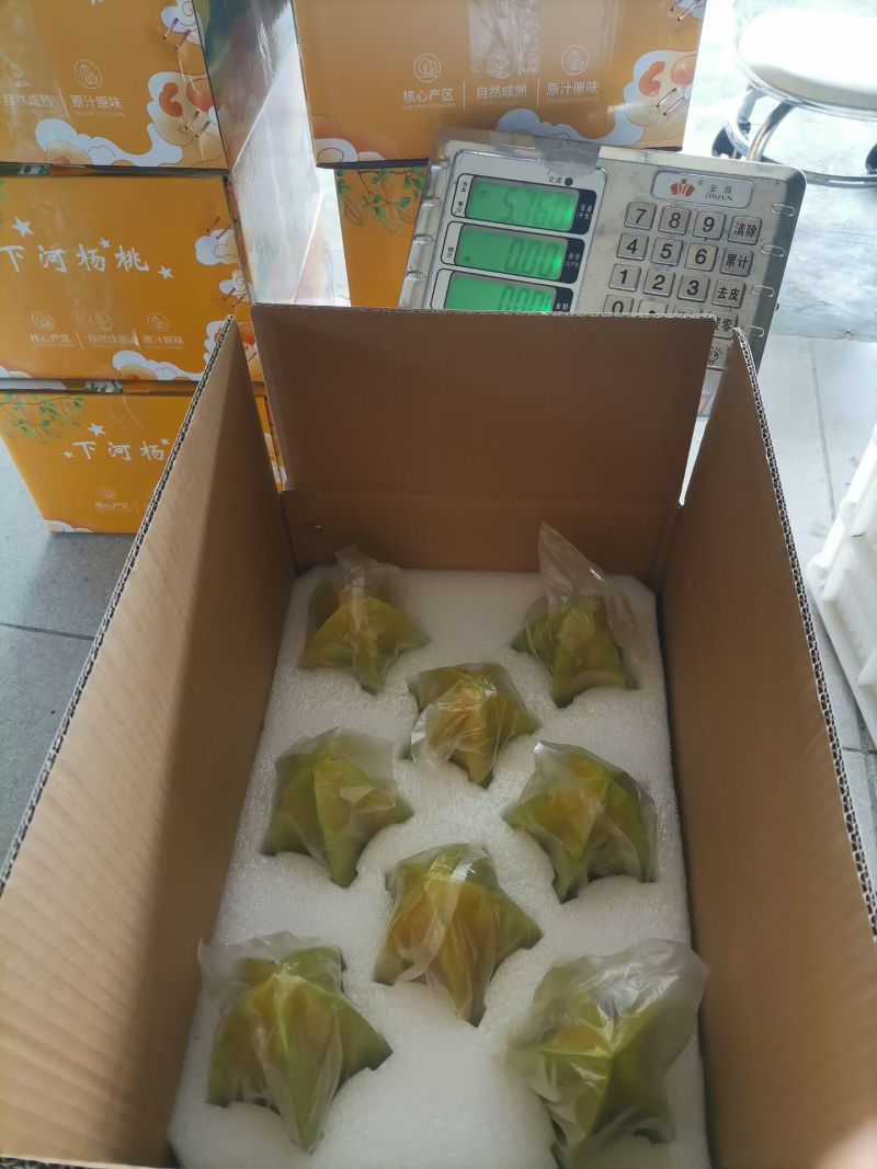 下河杨桃基地家庭农场直销