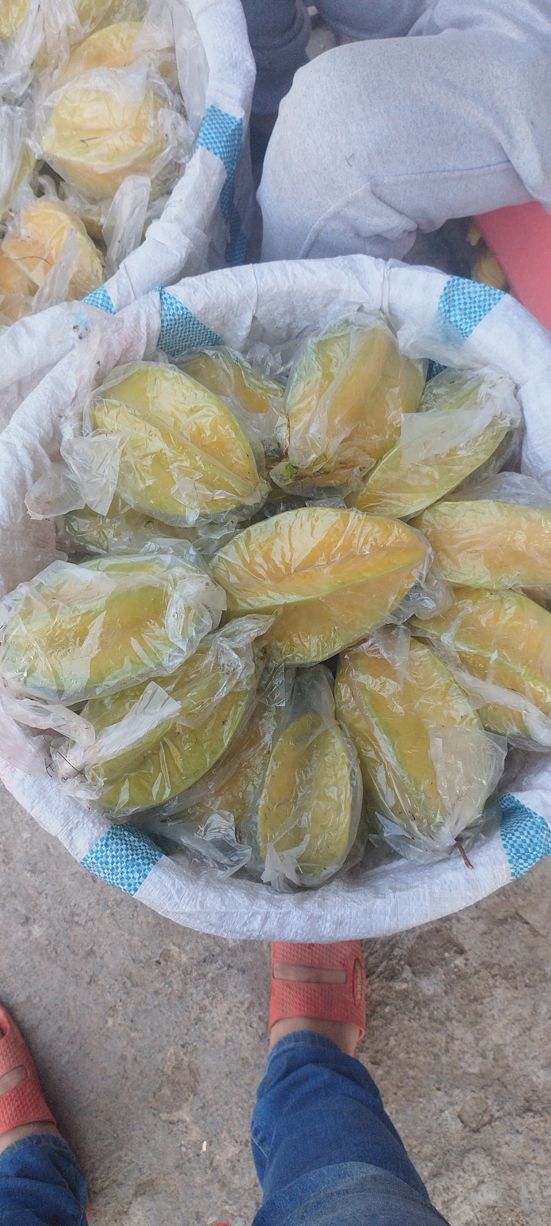 下河杨桃基地家庭农场直销
