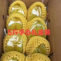 下河杨桃基地家庭农场直销