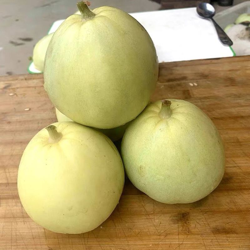 春福20早熟薄皮甜瓜种子香味浓肉质细嫩甜脆多汁不易裂果