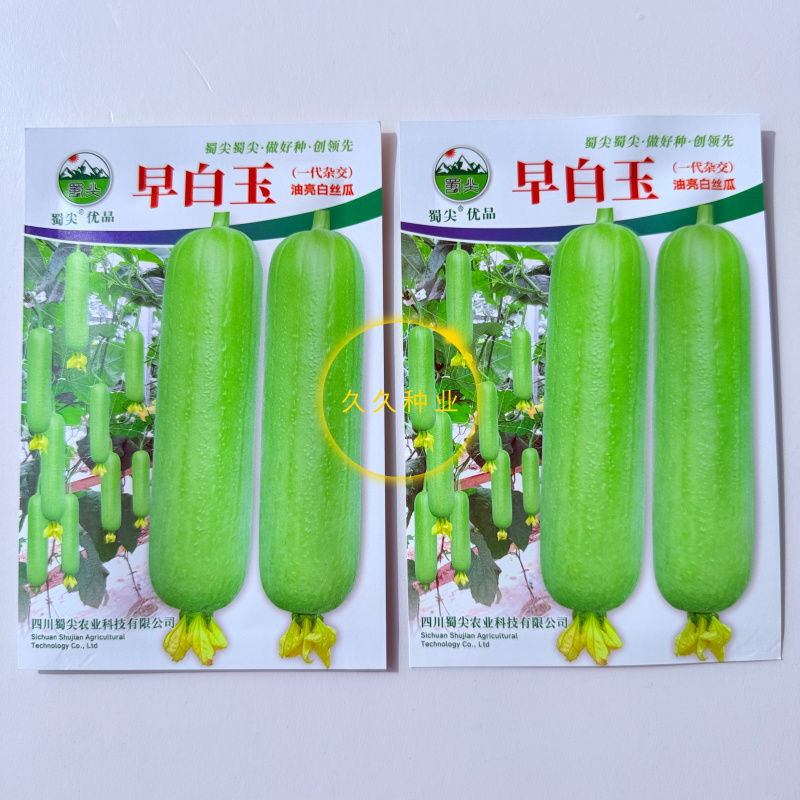 早白玉丝瓜种子正品优质耐热早熟短棒型白绿丝瓜