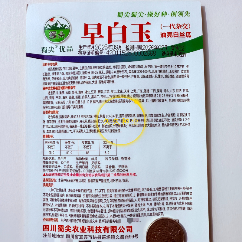 早白玉丝瓜种子正品优质耐热早熟短棒型白绿丝瓜