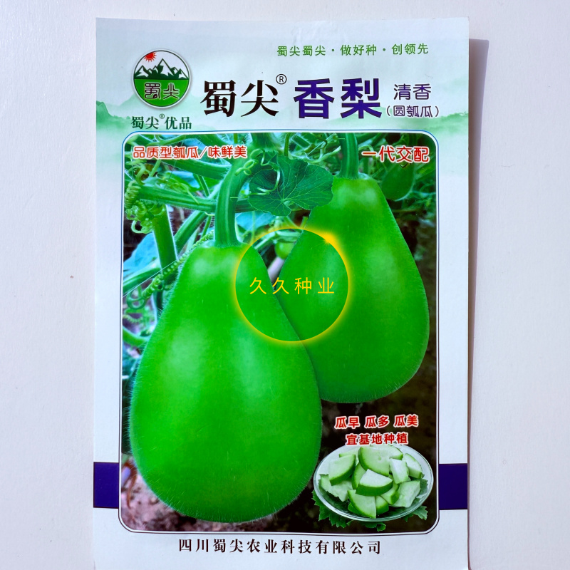 蜀尖香梨清香圆瓠瓜种子中早熟耐热耐寒葫芦瓜种籽