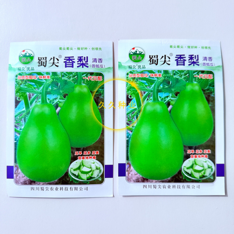 蜀尖香梨清香圆瓠瓜种子中早熟耐热耐寒葫芦瓜种籽