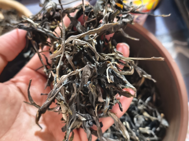 薄荷塘头春