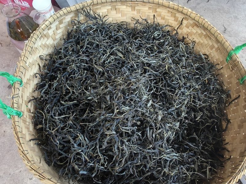 薄荷塘头春