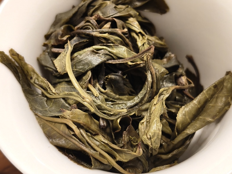 薄荷塘头春