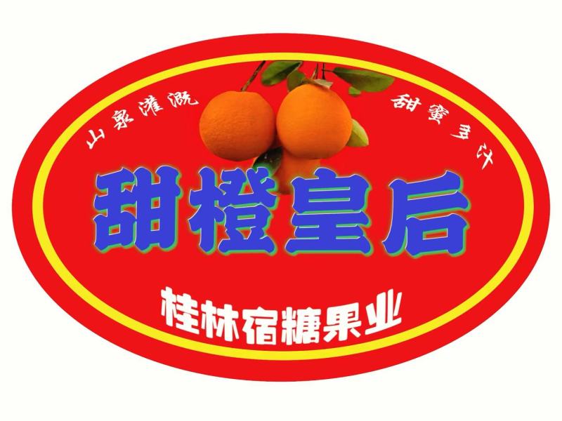 大量供应广西桂林的砂糖桔