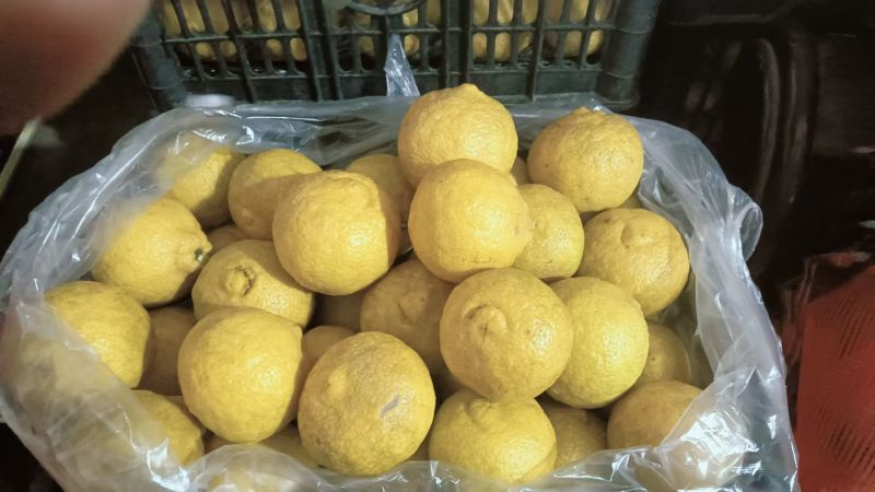 还有10万斤鲜果