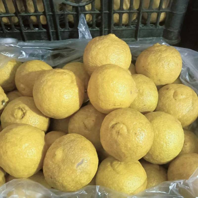 还有10万斤鲜果