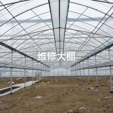 维修连栋大棚
