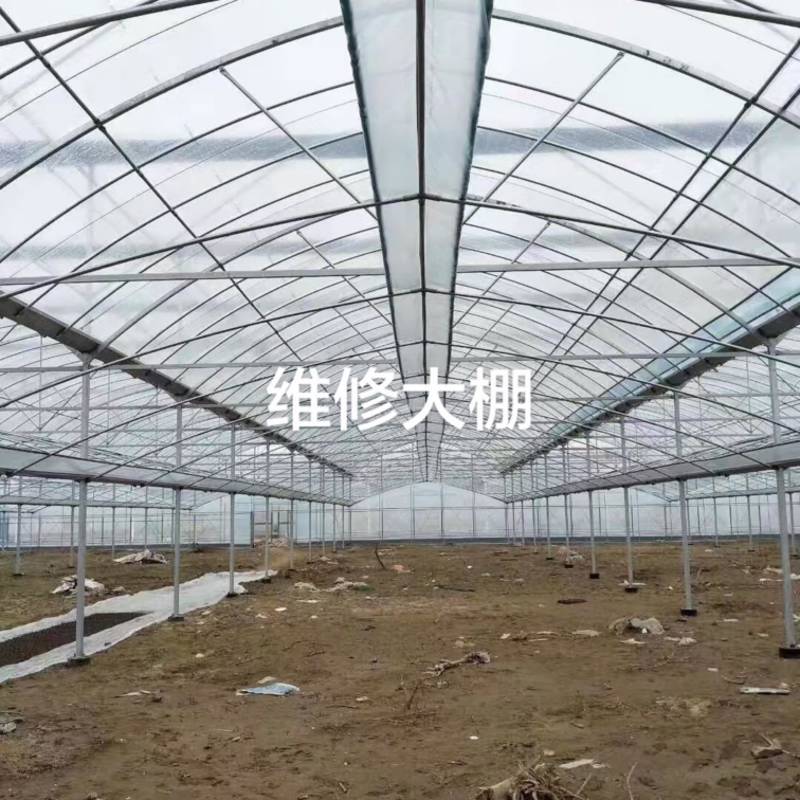 维修连栋大棚