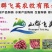 优质蜂蜜，大量上市，枣花蜜，全国发货，大量上市。