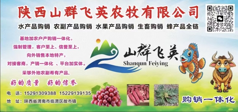 优质蜂蜜，大量上市，枣花蜜，全国发货，大量上市。
