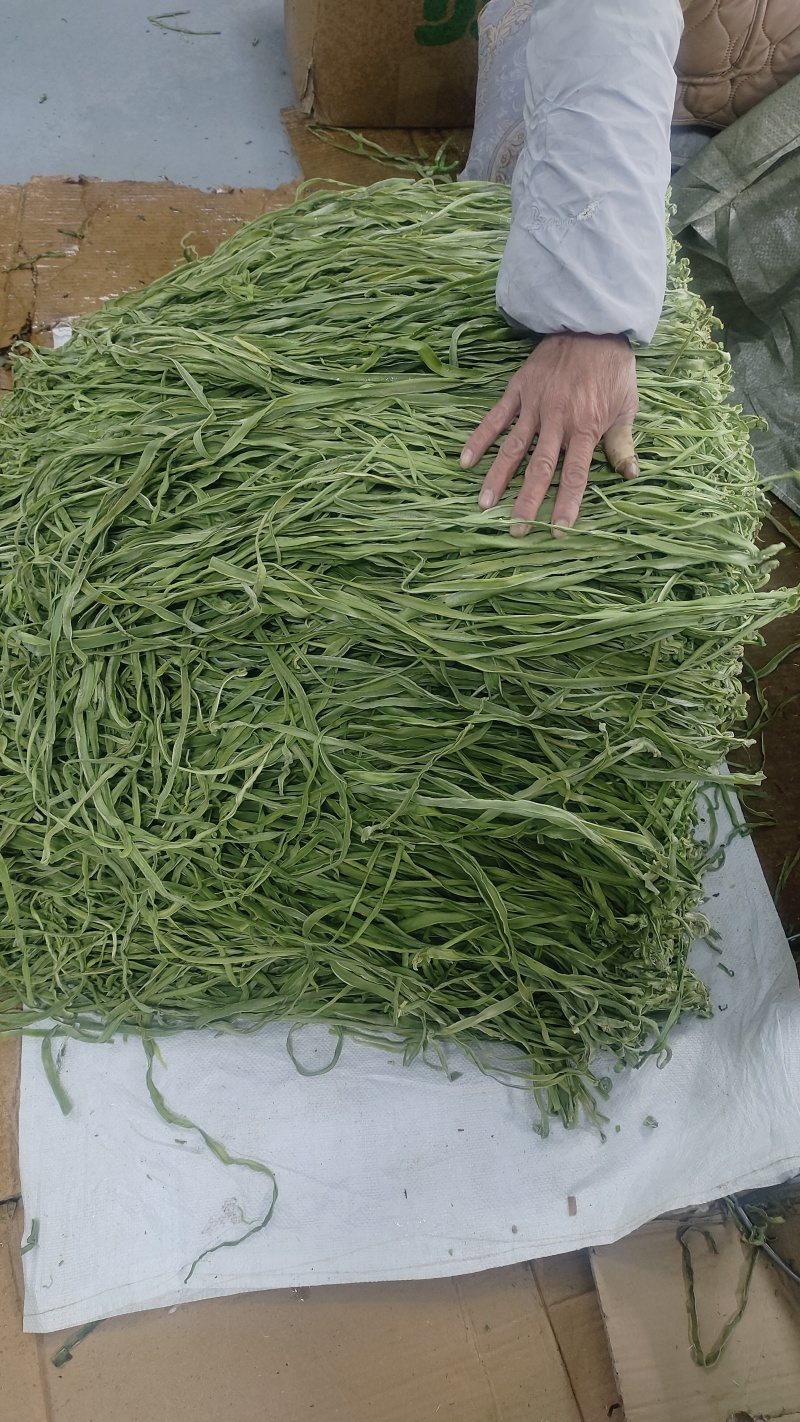 贡菜安徽涡阳