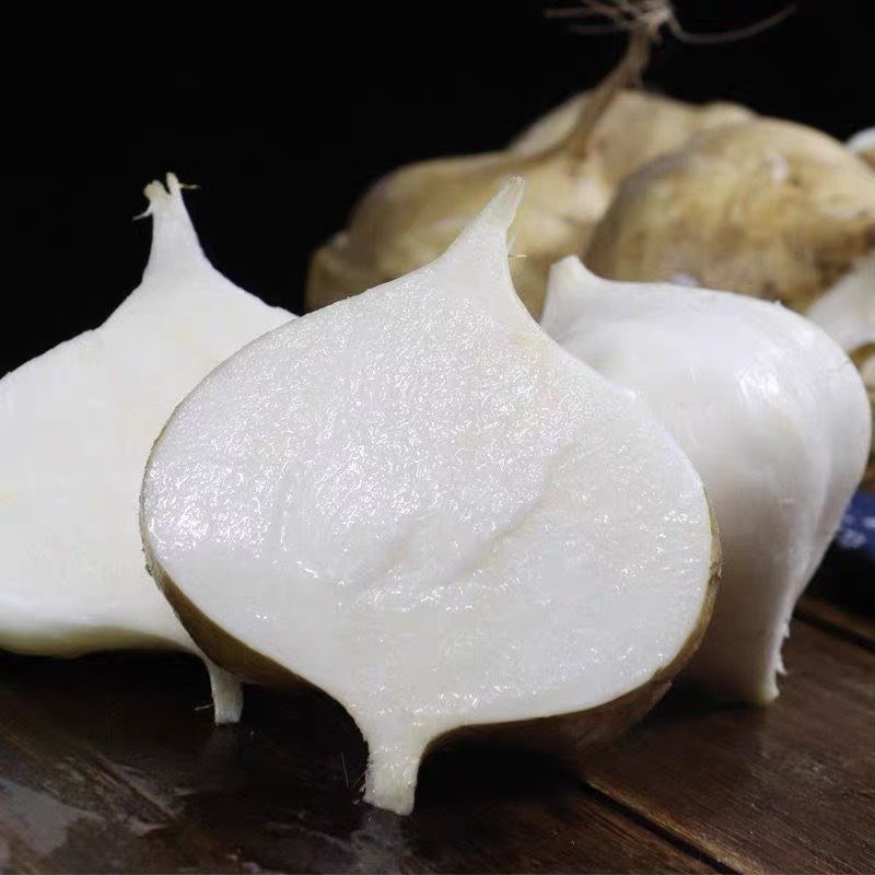 牧马山地瓜种子早熟高产杂交水果地瓜种子甜脆沙葛凉薯种子