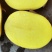 黄心土豆产量过大滞销中，给钱就卖，5毛一斤，量大从优，