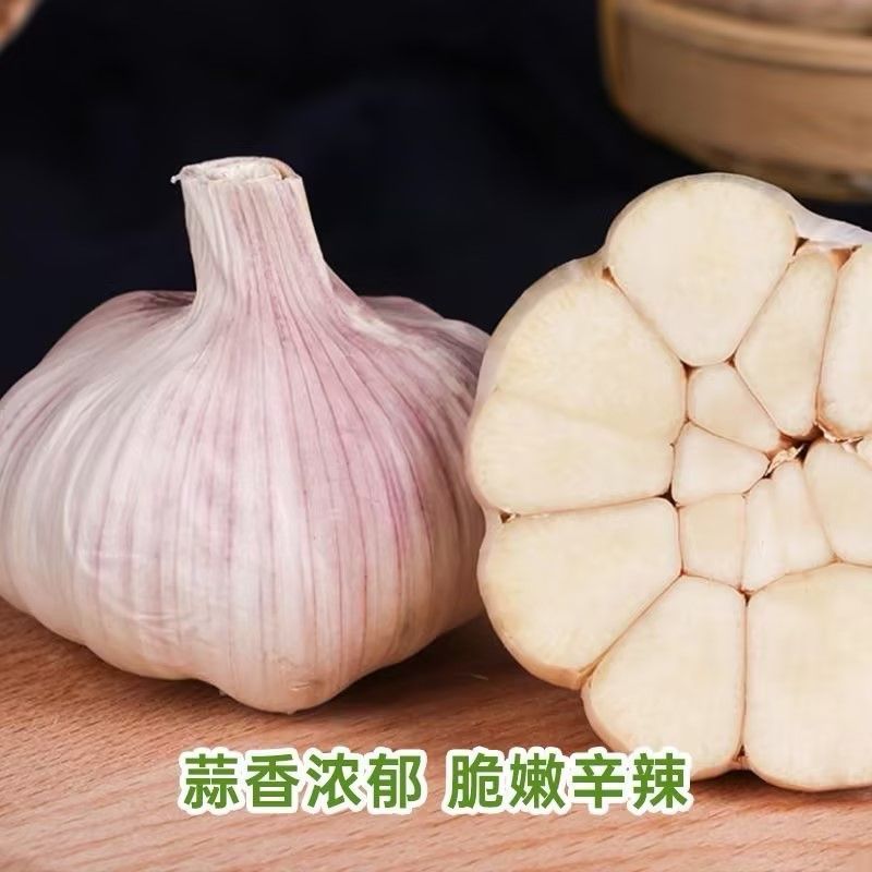 精品大蒜大量上市，全国发货，欢迎进店沟通。