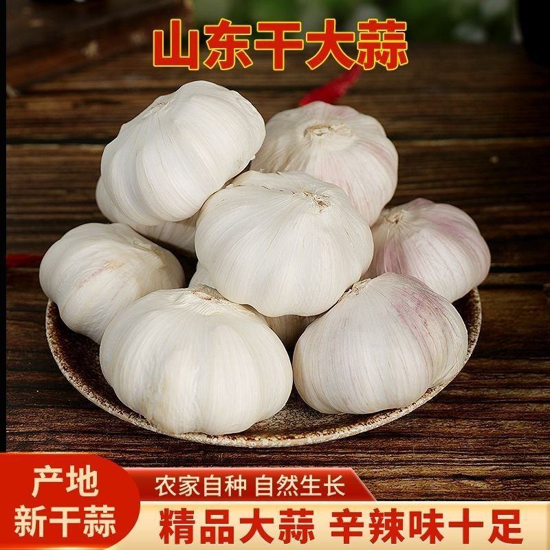 精品大蒜大量上市，全国发货，欢迎进店沟通。