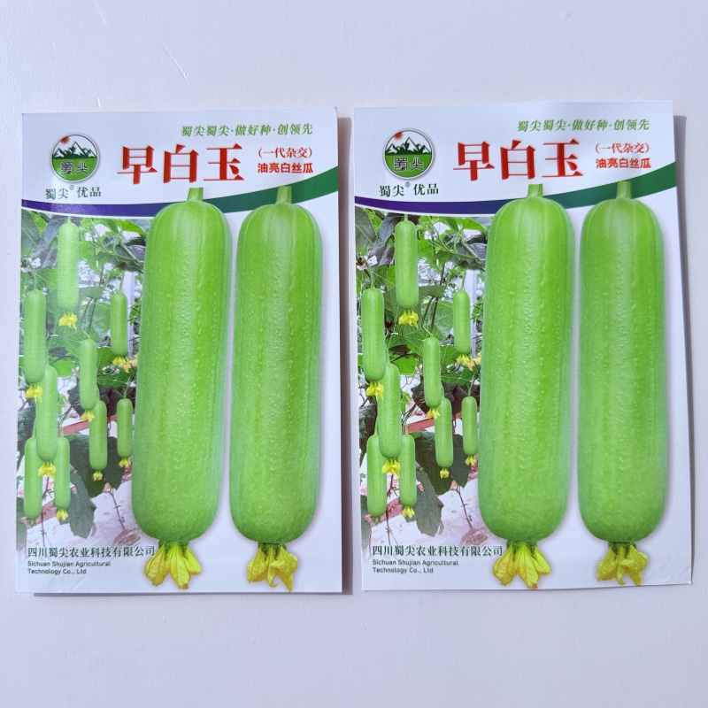 早白玉白丝瓜种子早熟油亮白肉丝瓜种子香白玉高产白丝瓜种子