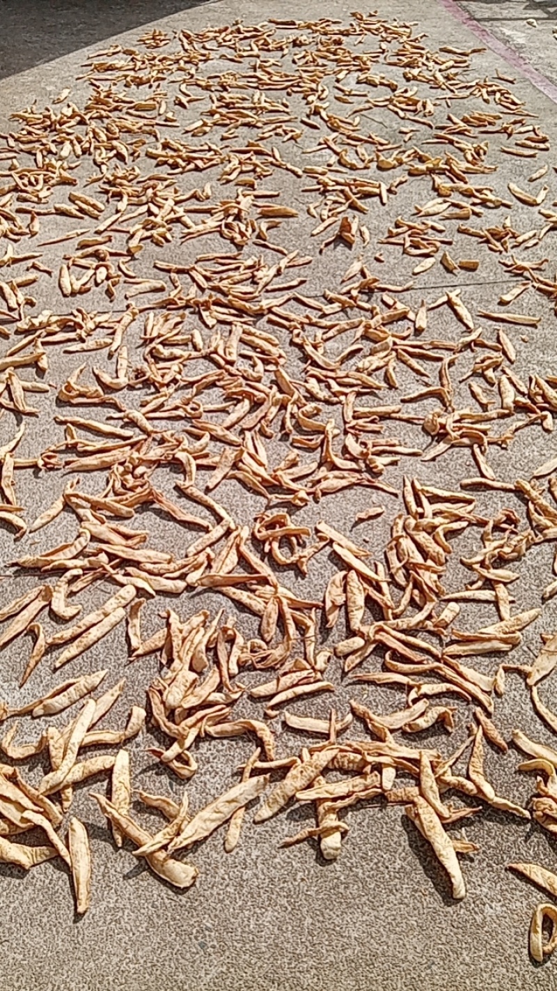广东汕尾海丰萝卜干，自己种自己晒，纯绿色食品，香脆可口！