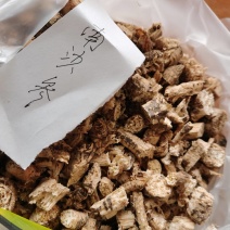南沙参