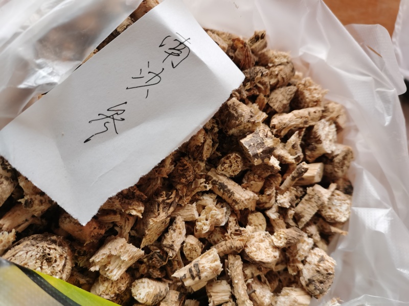 南沙参