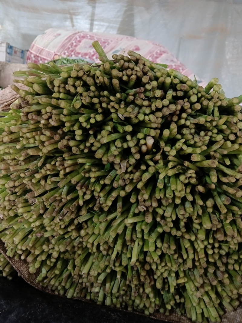 寿光精品头茬韭菜，现割现包装，当天可发货，量大