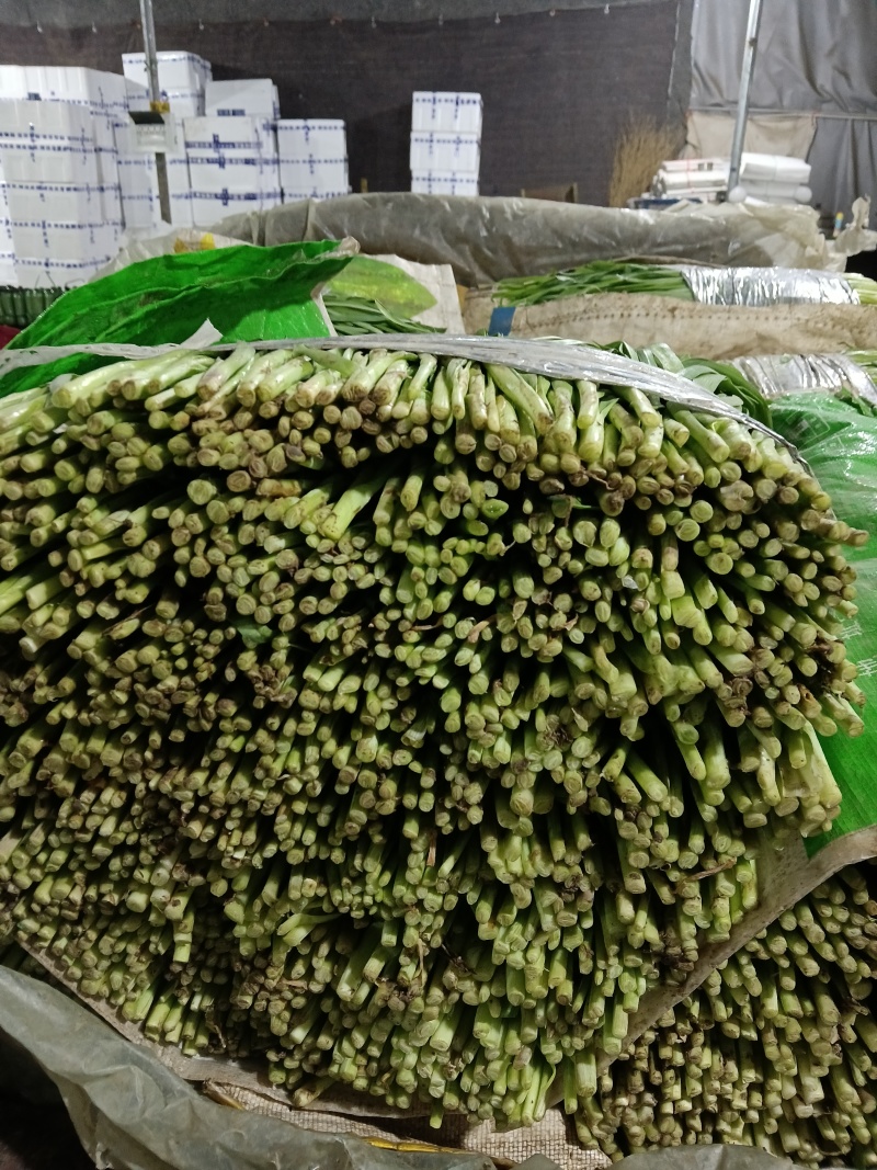寿光精品头茬韭菜，现割现包装，当天可发货，量大