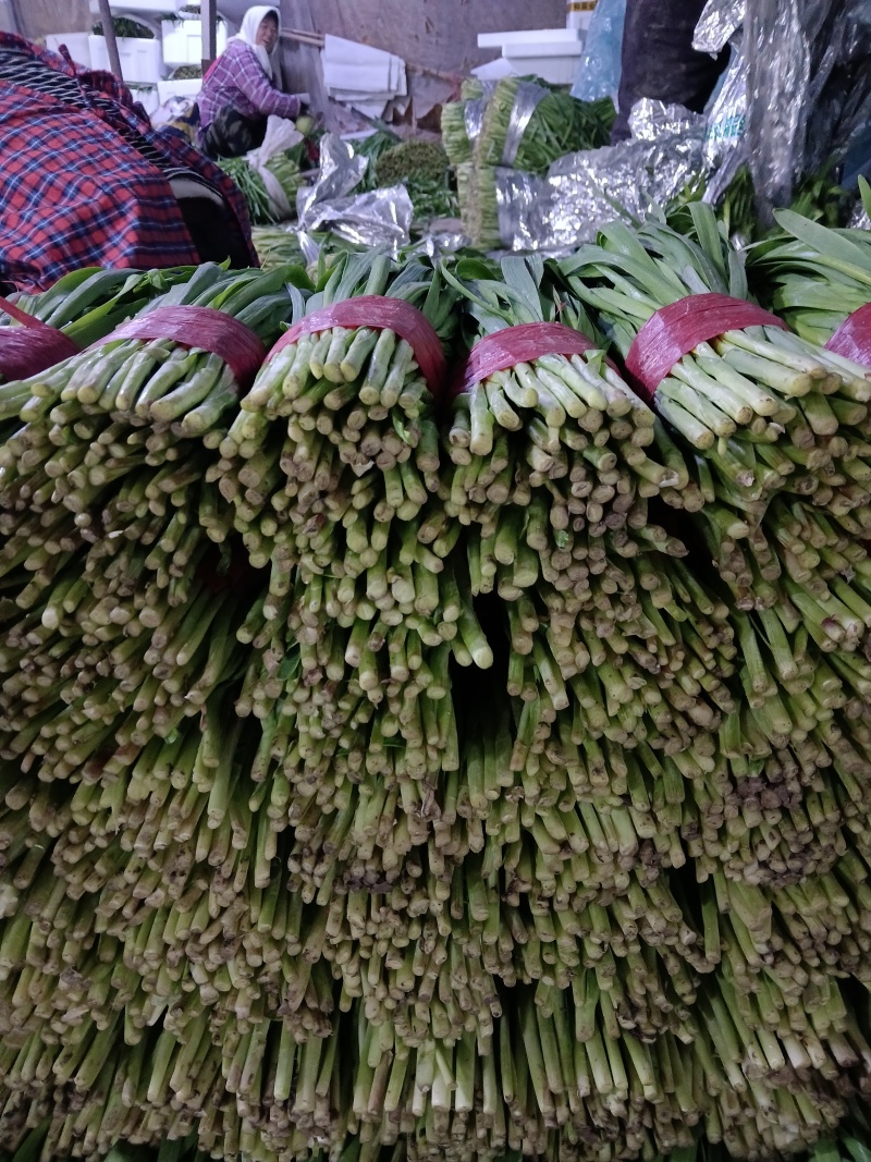 寿光精品头茬韭菜，现割现包装，当天可发货，量大