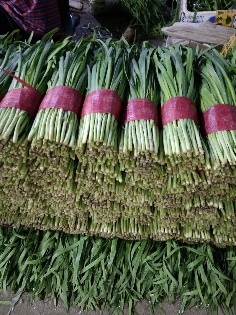 寿光精品头茬韭菜，现割现包装，当天可发货，量大