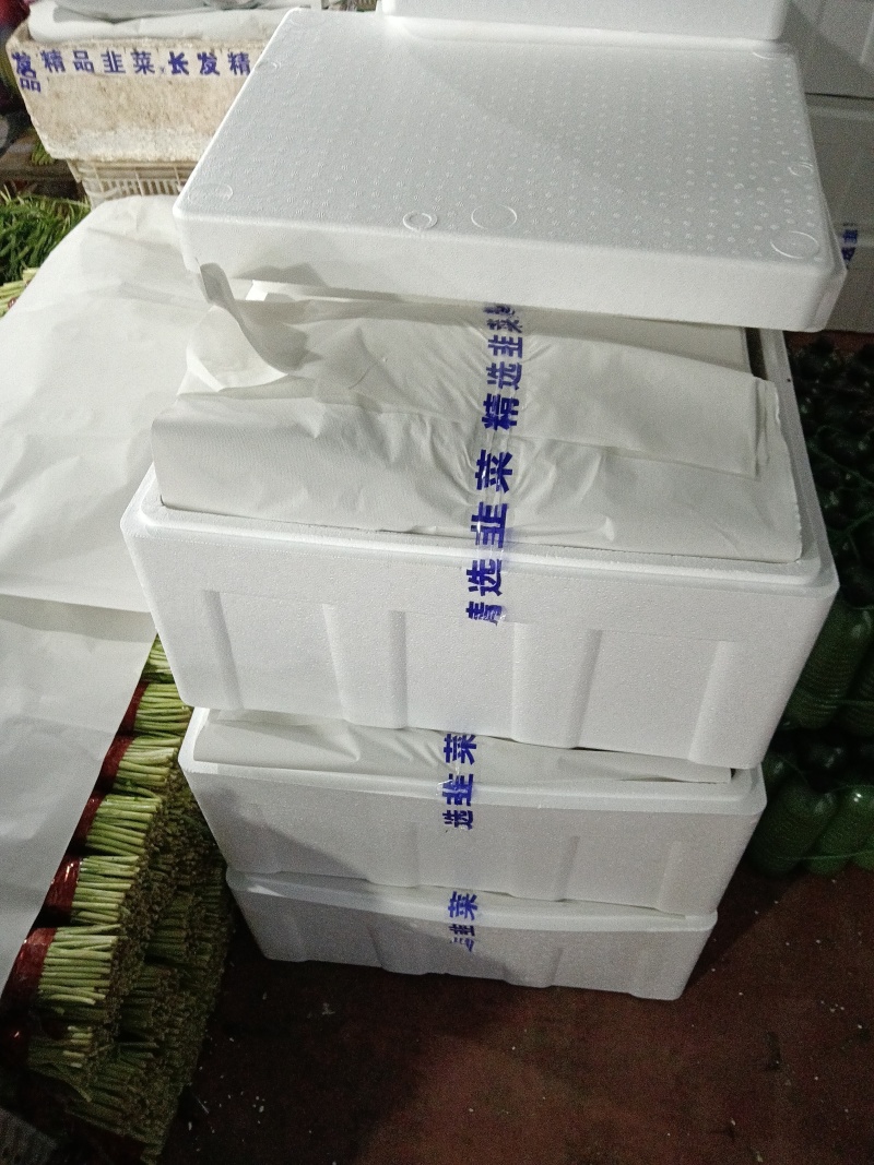 寿光精品头茬韭菜，现割现包装，当天可发货，量大