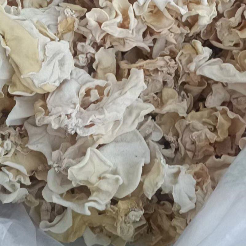 白木耳品质保证电商白木耳用，白玉木耳电商专用价格便宜白耳