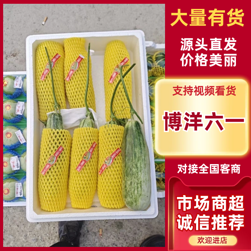 羊角蜜，博洋甜瓜，绿宝，花美人