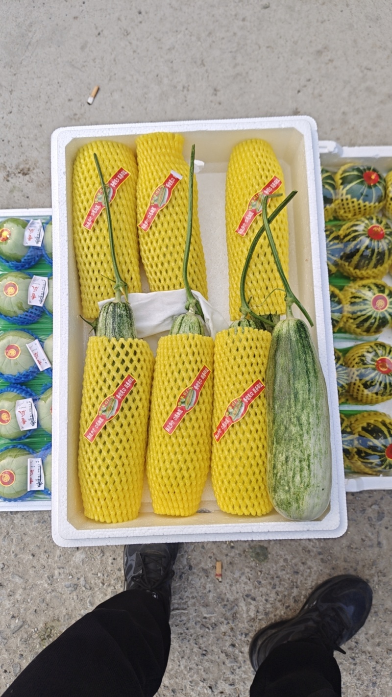 羊角蜜，博洋甜瓜，绿宝，花美人