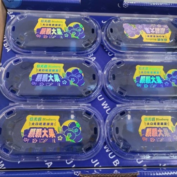 云南高山蓝莓全规格，量大优