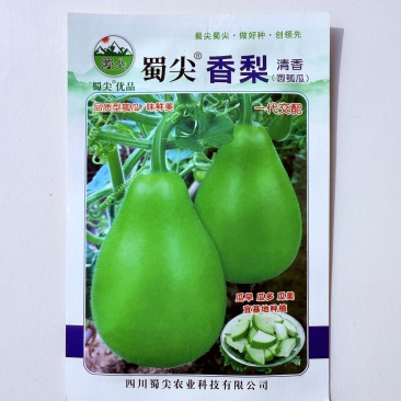蜀尖香梨圆瓠瓜种子早熟耐热耐寒葫芦瓜西葫芦瓜种籽基地专用