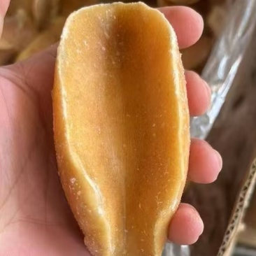 黄金鲍螺肉黄金澳鲍肉捞汁食材酒店海鲜自助食材海鲜批发