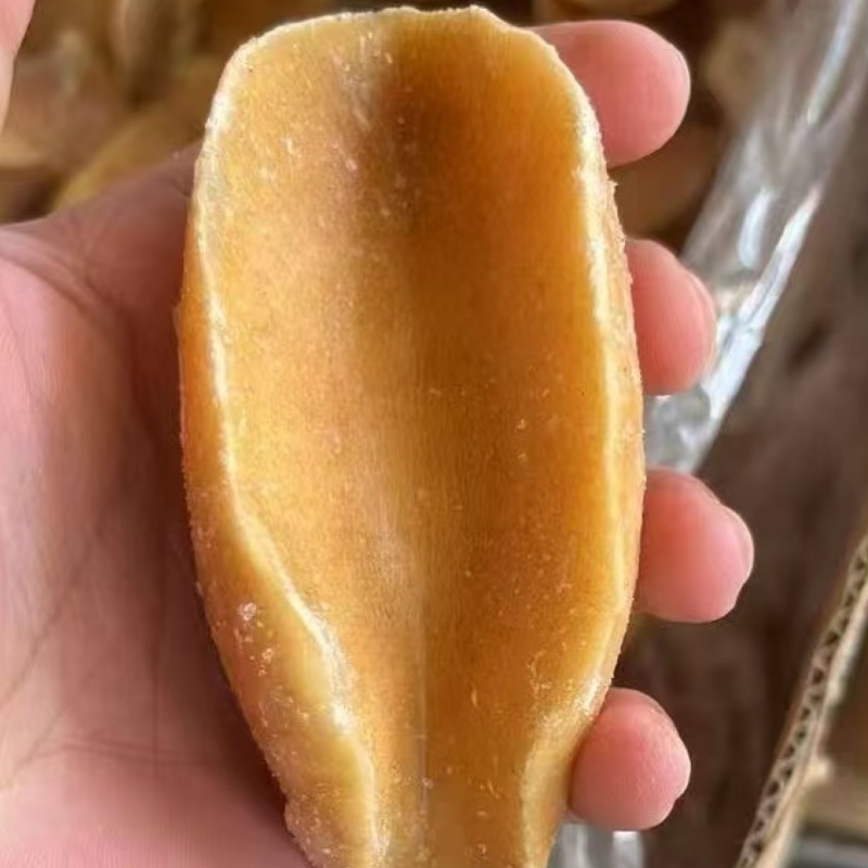 黄金鲍螺肉黄金澳鲍肉捞汁食材酒店海鲜自助食材海鲜批发