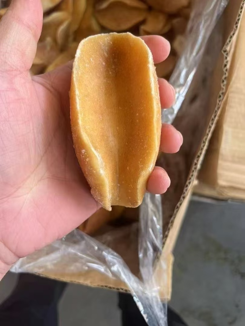 黄金鲍螺肉黄金澳鲍肉捞汁食材酒店海鲜自助食材海鲜批发