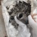 钢管