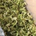 脱水花菜，厂家直发，大量有货，欢迎各位老板咨询采购