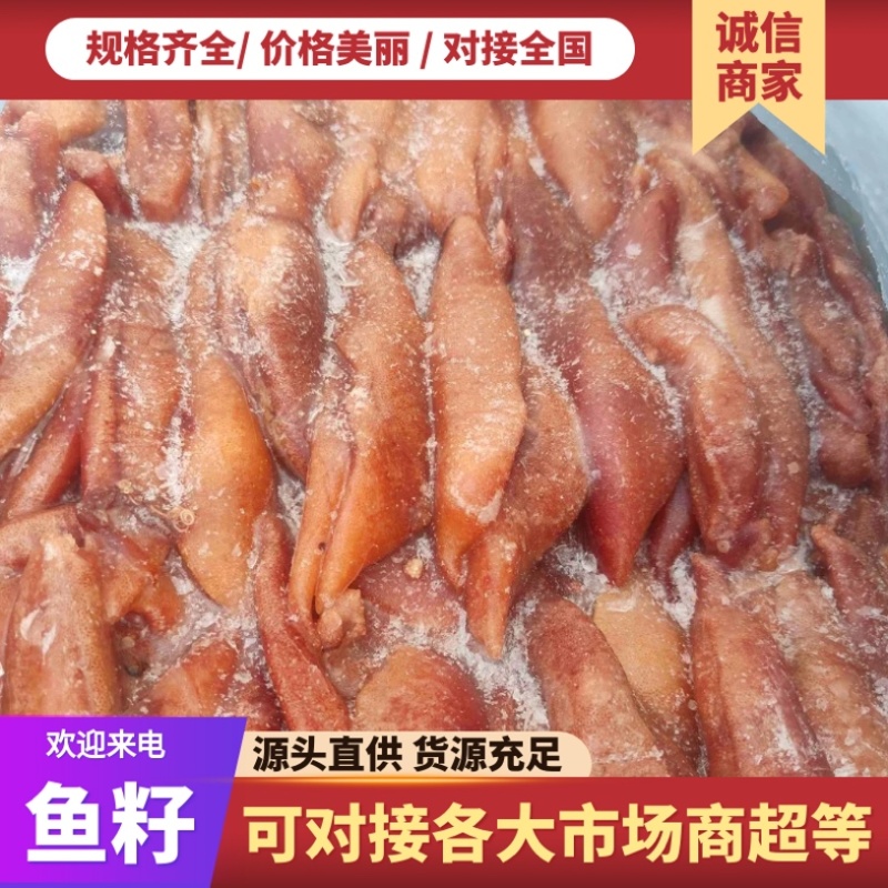 鱼籽鱼子鲱鱼籽飞鱼籽/厂家直销/货源充足/欢迎选购
