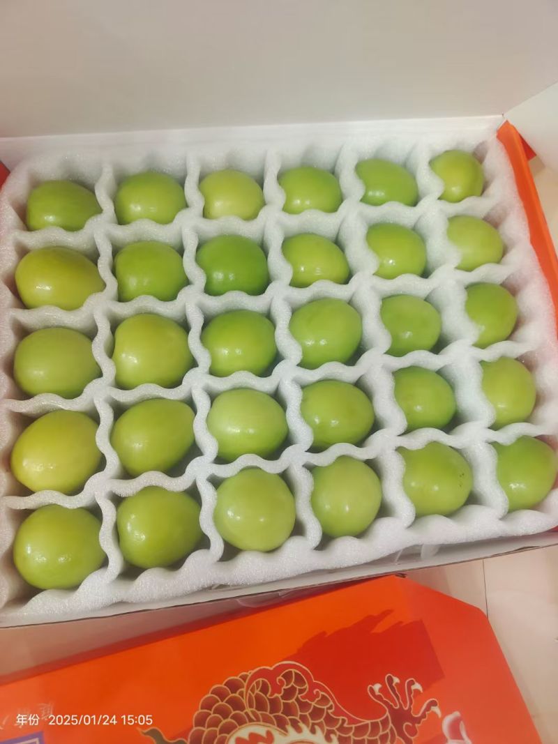 福建漳州牛奶枣/口感脆甜/个头饱满/硬度好颜色漂亮/大量