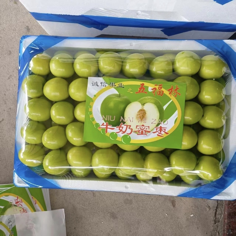 福建漳州牛奶枣/口感脆甜/个头饱满/硬度好颜色漂亮/大量