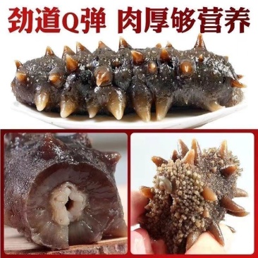 大连即食海参500克低价走量只卖海参不卖冰