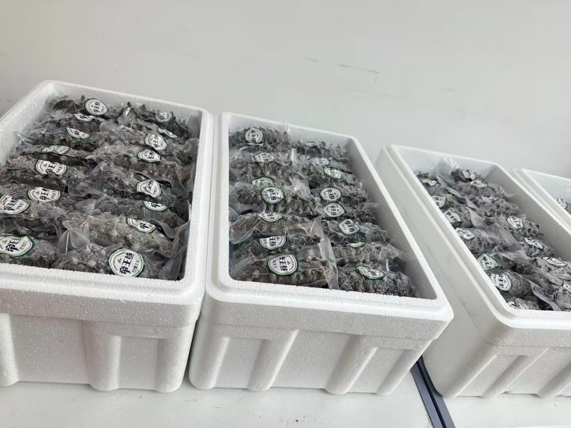 大连即食海参500克低价走量只卖海参不卖冰