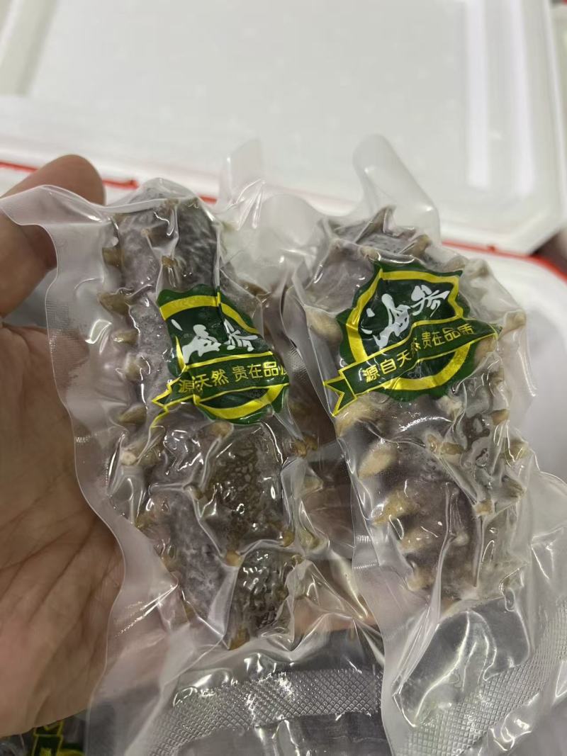 大连即食海参500克低价走量只卖海参不卖冰
