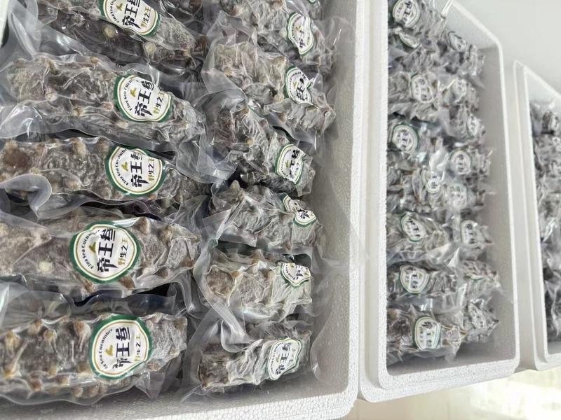 大连即食海参500克低价走量只卖海参不卖冰